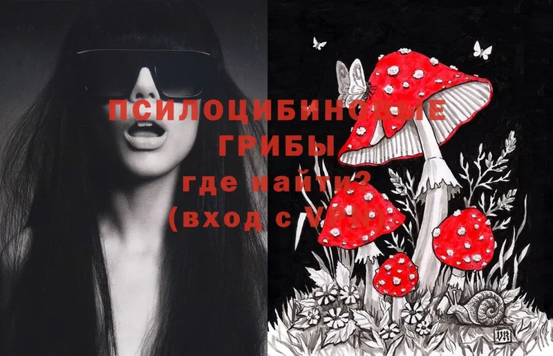 Галлюциногенные грибы Cubensis  Вязьма 